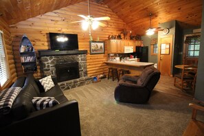 Smart TV, chimenea, reproductor de DVD y libros 