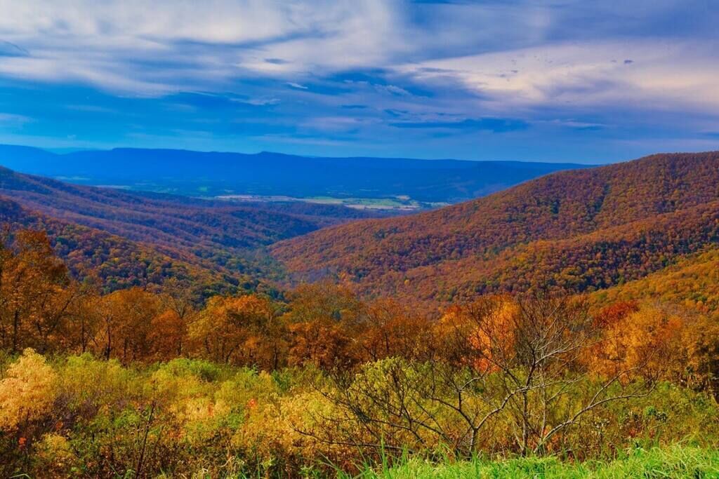 Vista panorâmica de uma paisagem montanhosa com folhagem outonal.