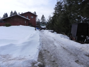 Set amidst evergreen trees, this house features a sloped roof and a small shed.