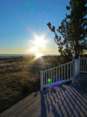 Property grounds - Bayfront Cottage with Spectacular Views (Slaughter Beach)