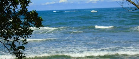 在海滩、沙滩椅