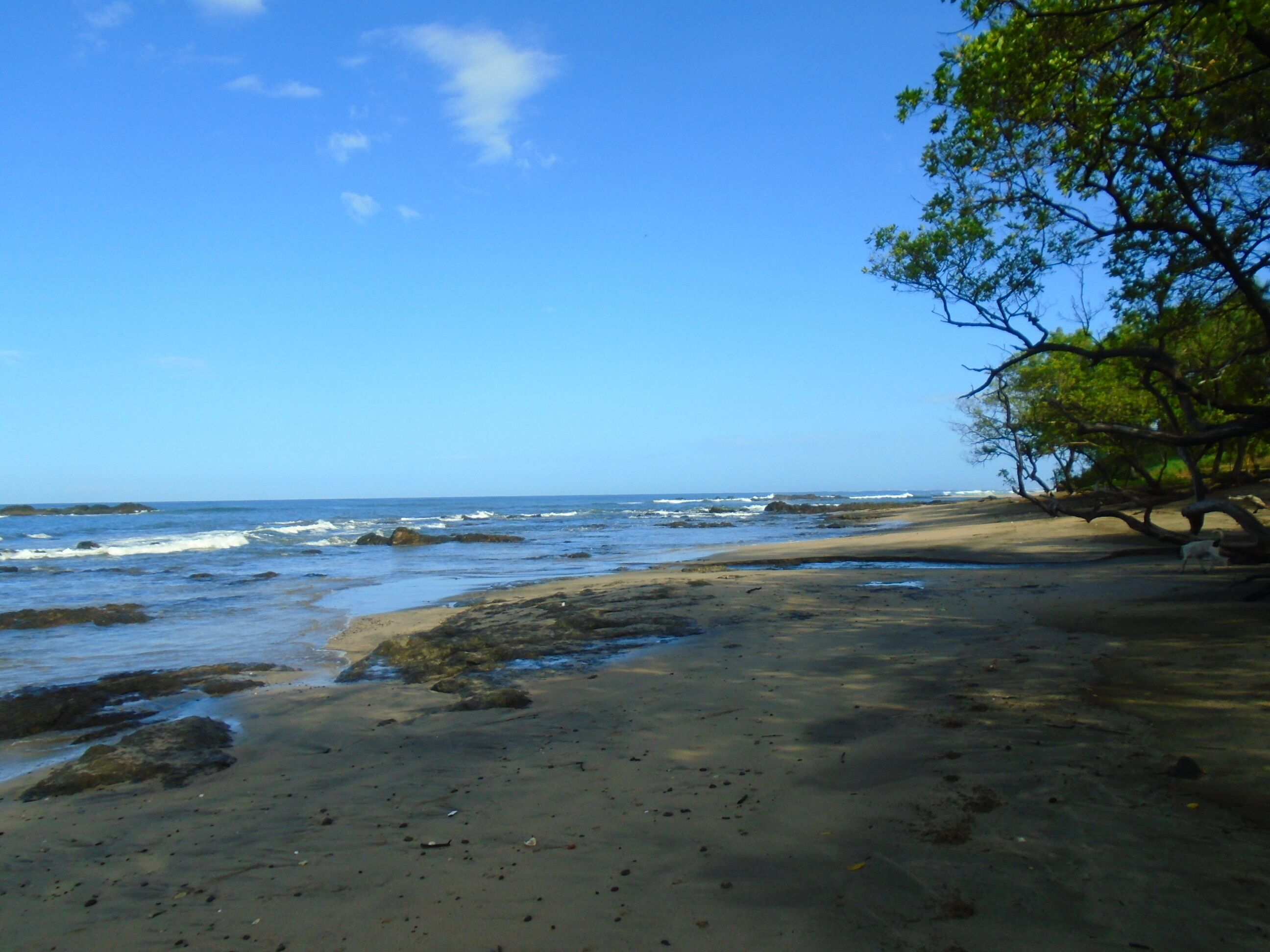 Na praia, espreguiçadeiras 