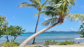 A beach with palm trees and clear blue water. - BEST VALUE! New reno, Beach 10' from door, water 50' away WE MOVED ID 5216594 !! (Red Hook)