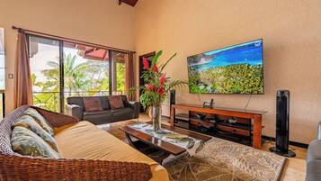 TV connectée, lecteur de DVD, livres, vidéothèque