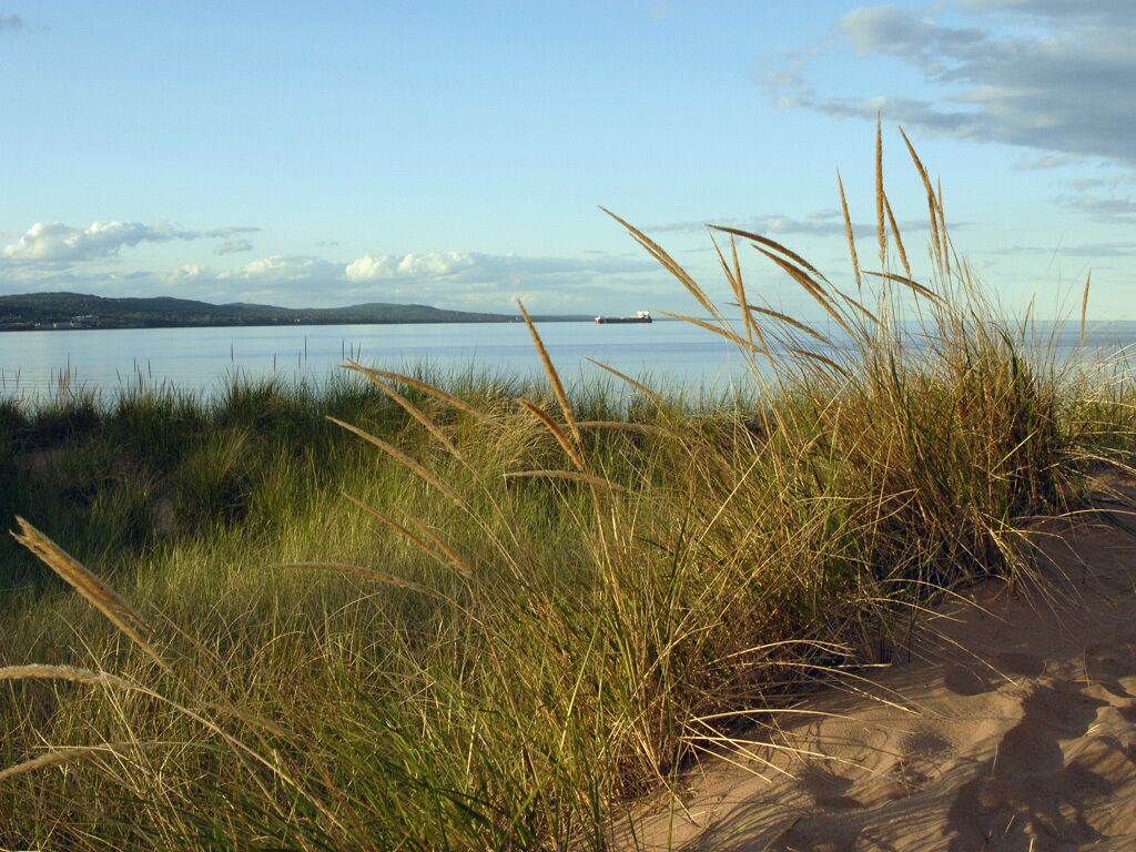 På stranden og solsenger