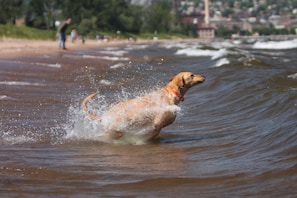 Sulla spiaggia, lettini da mare