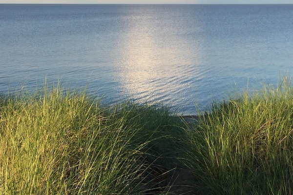On the beach, sun-loungers
