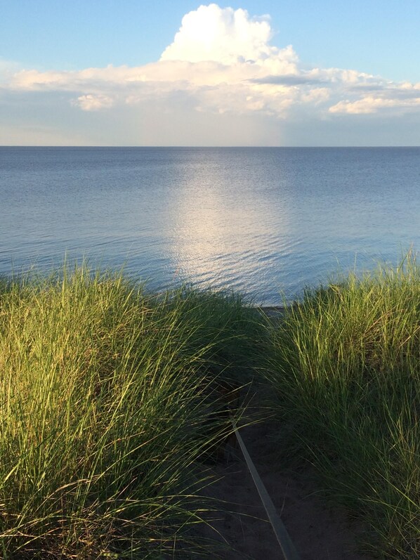 Plage, chaises longues