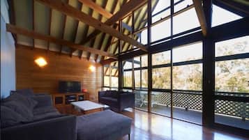 Smart TV, fireplace, Netflix, DVD player