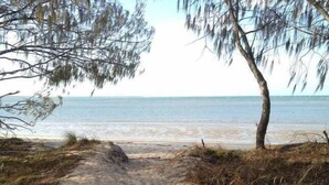 A sandy beach path leading to the sea, surrounded by grass and a tree. - Beach Hound (pets welcome) (Toogoom)