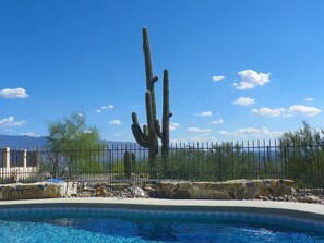 Una piscina al aire libre, una piscina climatizada