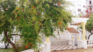 Un edificio blanco con entrada de baldosas y un árbol de flores rojas.