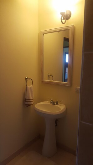 シャワー、ヘアドライヤー、タオル、石鹸