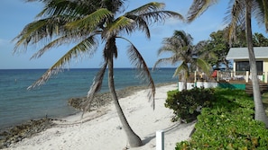 A beach with white sand, palm trees, and a view of the ocean. - SPACIOUS  OCEAN FRONT PROPERTY-RUM POINT DRIVE w/Private Beach. Pet Friendly.... (North Side)
