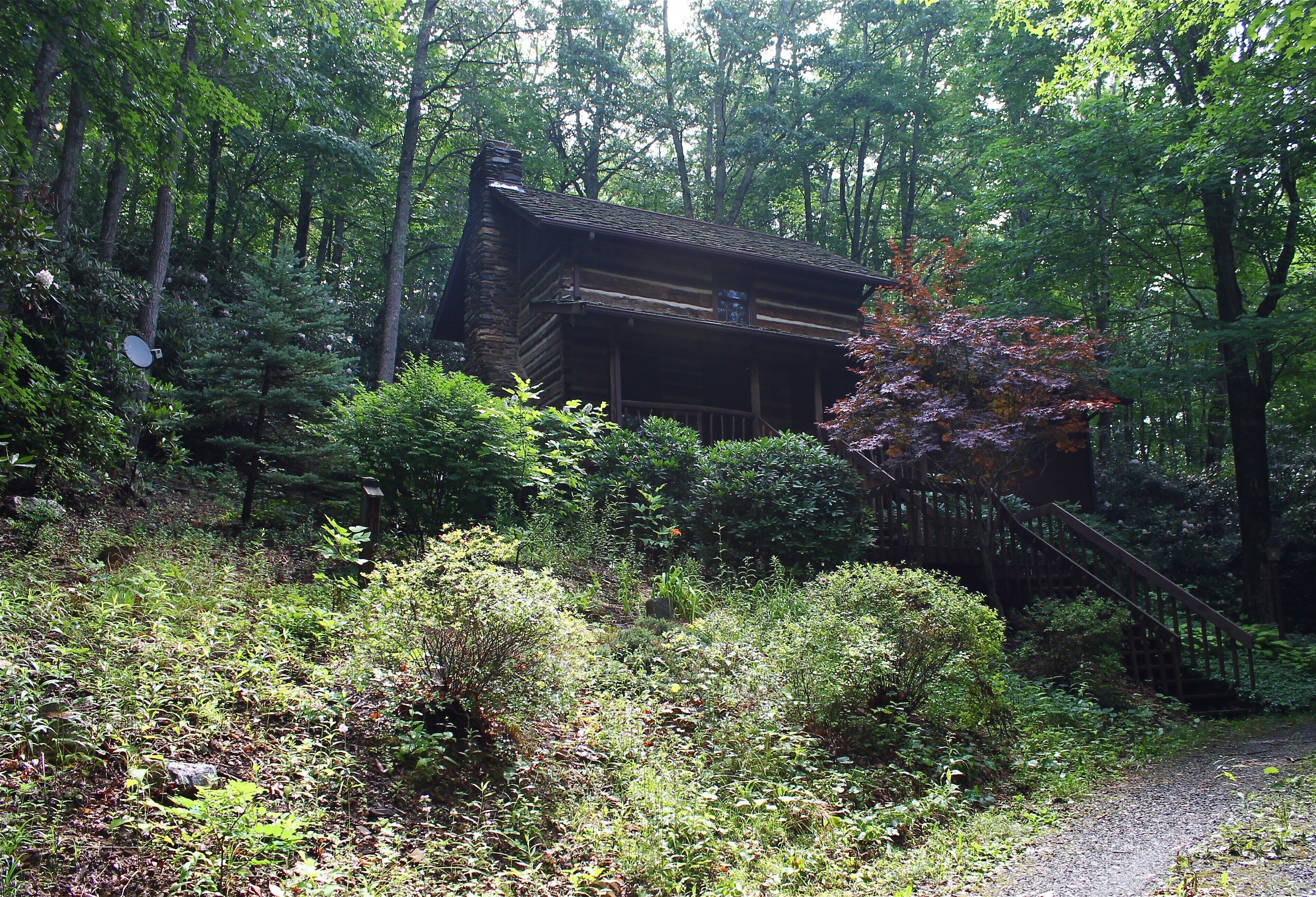 Enjoy summer in Todd NC!   5 min from Old Barn Winery 10 min to W Jeff