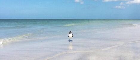 Na praia, espreguiçadeiras, toalhas de praia