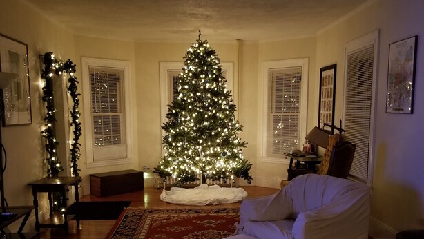 A cozy living room with a Christmas tree, a white armchair, and a red patterned rug. - Spacious Condo In Cranston/Providence Line - 2 Bed (Cranston)