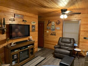 TV connectée, cheminée, jeux vidéo, lecteur de DVD