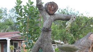 A sculpture of a figure holding a tree trunk, set against a residential backdrop with a house and greenery. -  Country  Cottage Home (Bradenton)