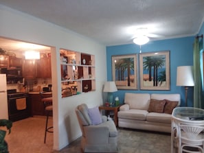 TV, DVD player, books, video library - Country Cottage Home (Bradenton)