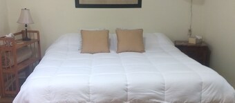 Carriage House/apartment Near New Orleans 