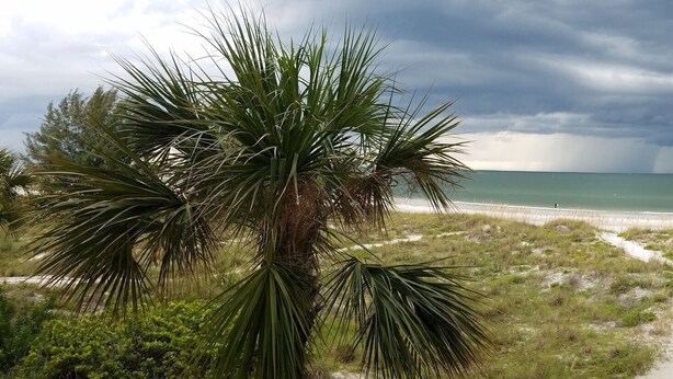 Blick auf einen Strand mit einem Weg zum Ufer, umgeben von Palmen und einem Gebäude mit Balkonen.