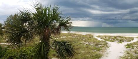 ビーチ、サンラウンジャー