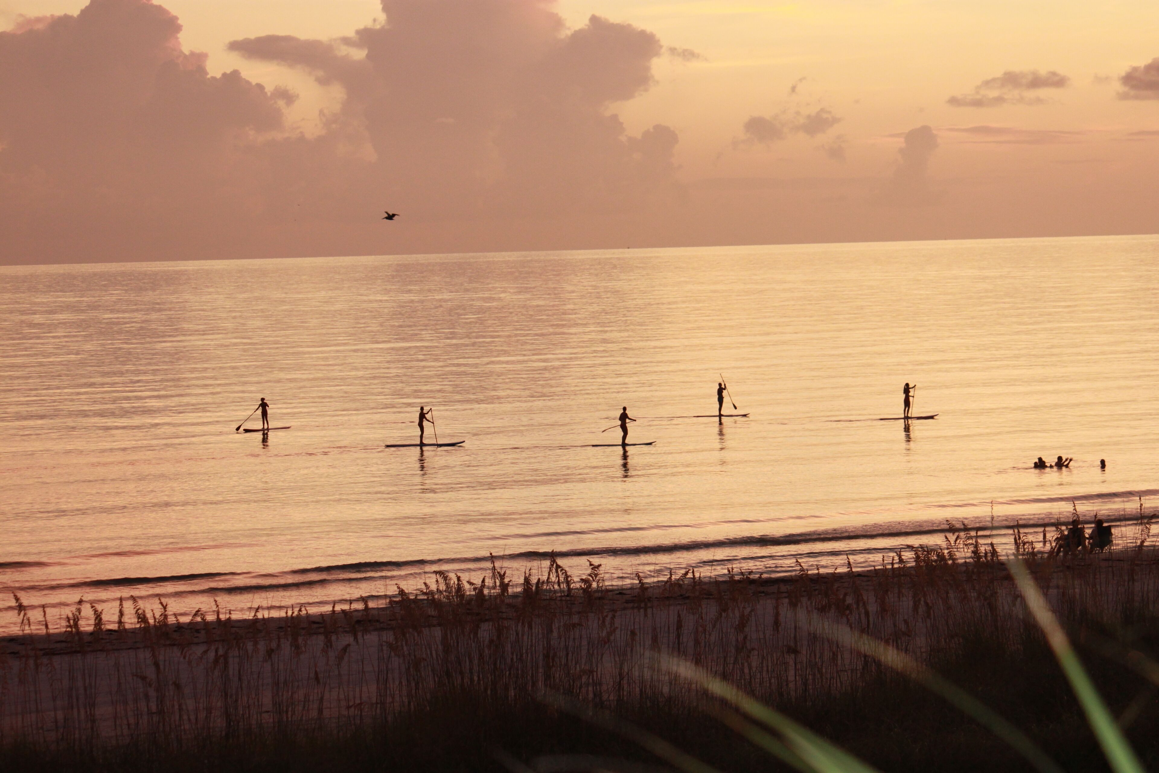 A sunset view of a beach with paddleboarders.