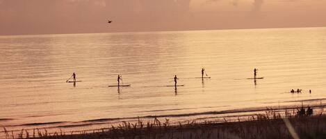 A sunset view of a beach with paddleboarders.