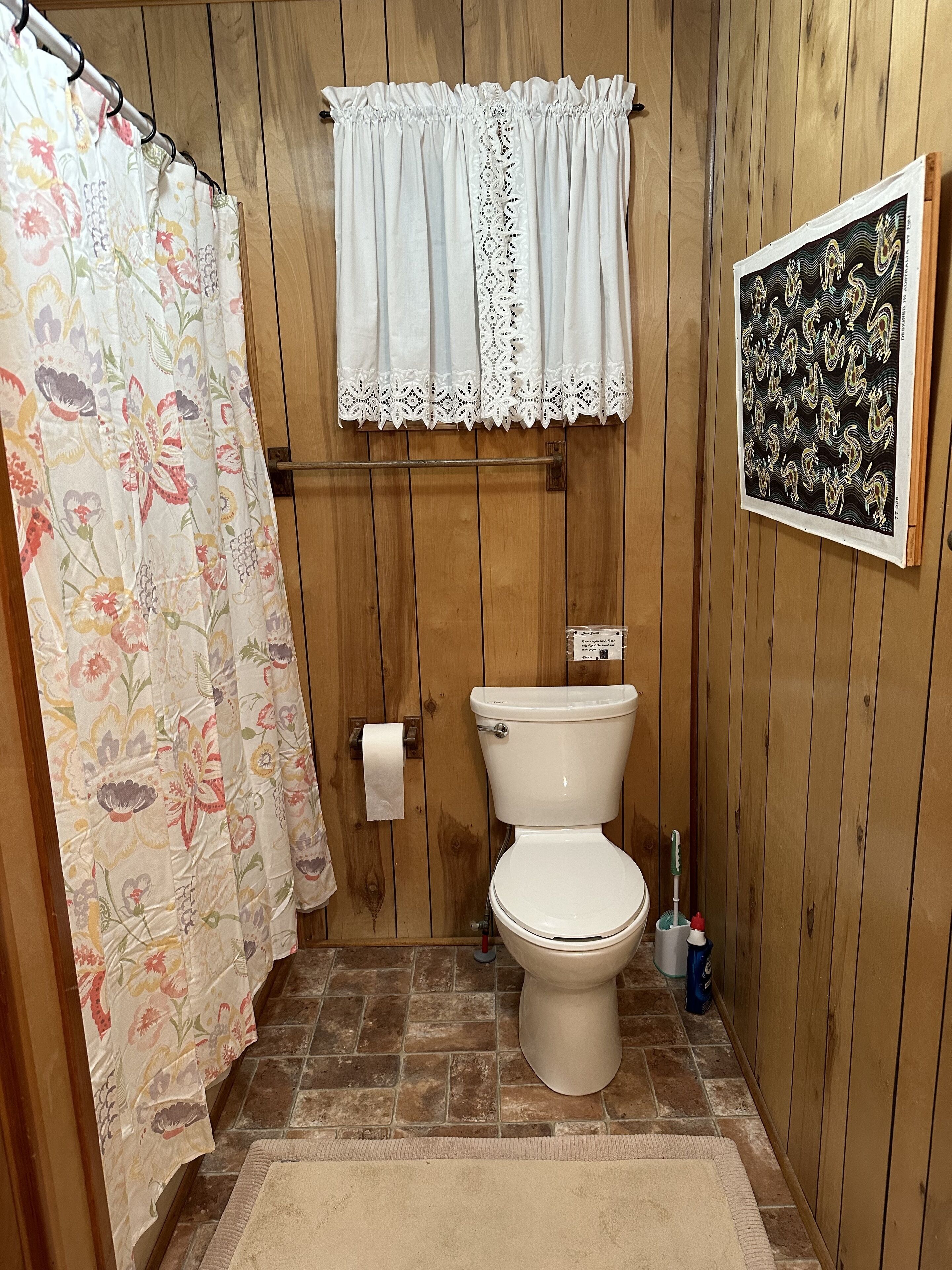 A bathroom with a toilet, a shower curtain, a toilet paper holder, and a framed picture on the wall.