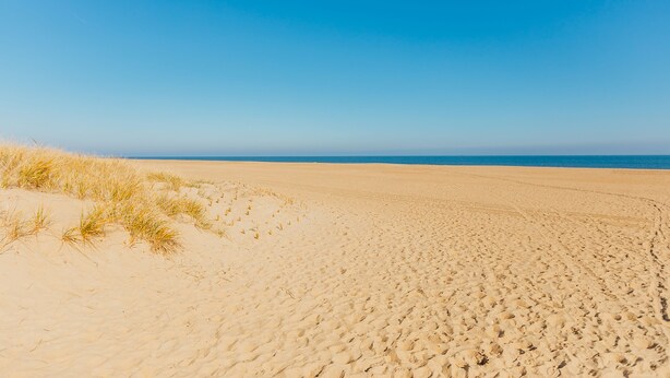 A wide sandy beach with dunes and a clear blue sky. - Sandbridge Beach,Virginia Beach Penthouse Condominum (Virginia Beach)
