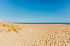 Une vaste plage de sable, bordée de dunes, et un ciel bleu dégagé.
