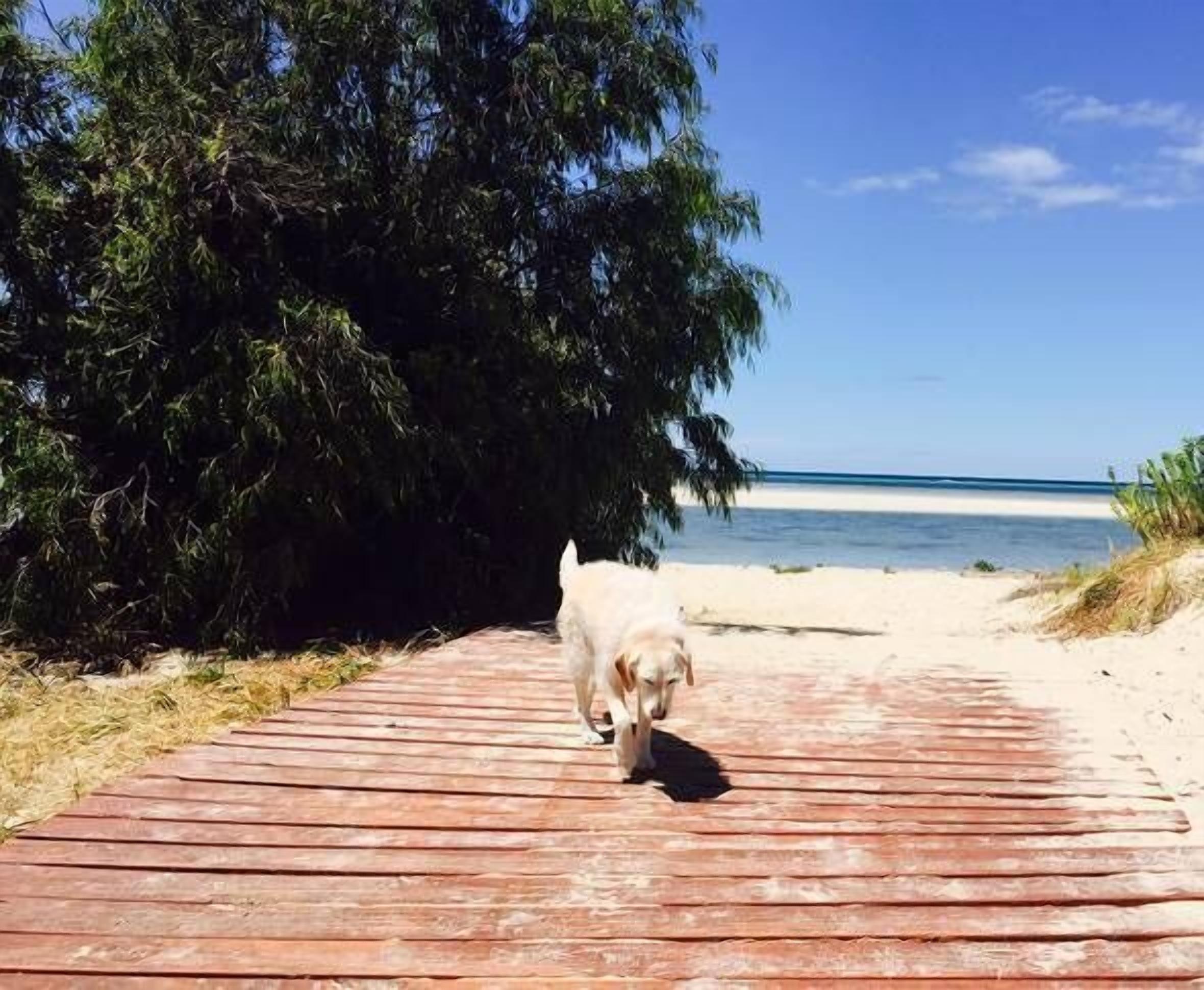 Panoramic Bay Views - Pet friendly & only a  5 minute stroll to town — image 26
