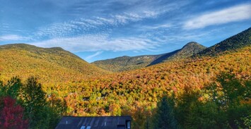 Beautiful Fall Colors from the Front Deck 