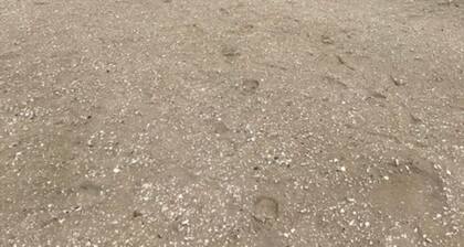 Great Water Views in quiet pet-friendly location facing lighthouse. Large Yard