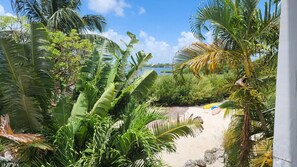 Unclassified image, 3 of 70, button