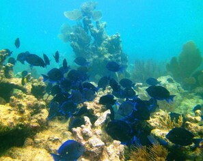 Nicht klassifiziertes Bild, 5 von 70, Schaltfläche