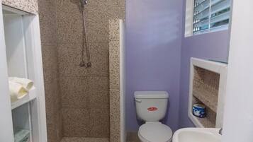 Shower, hair dryer, towels