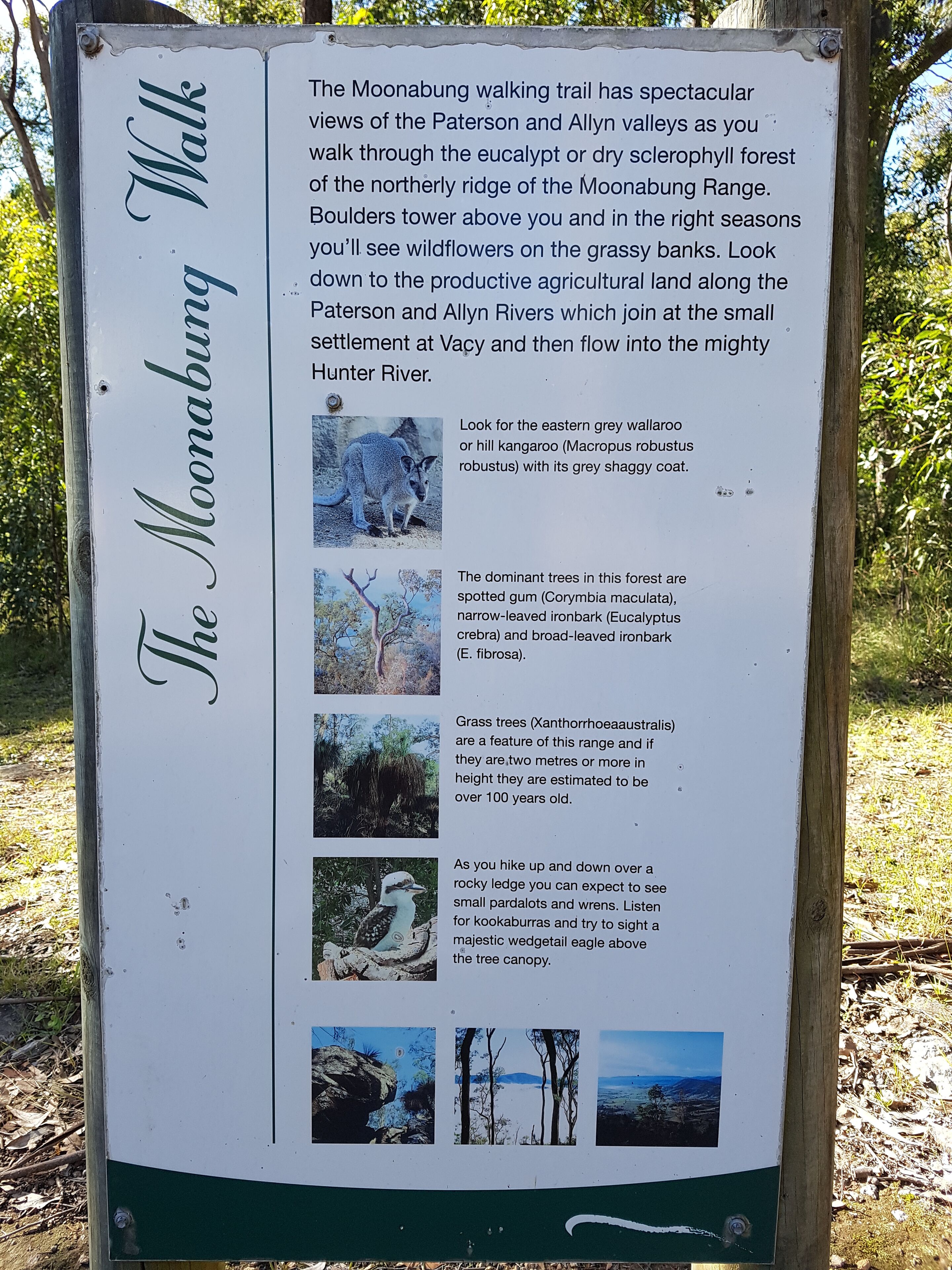 Bundera Lodge - Hunter Valley holiday accommodation — image 15