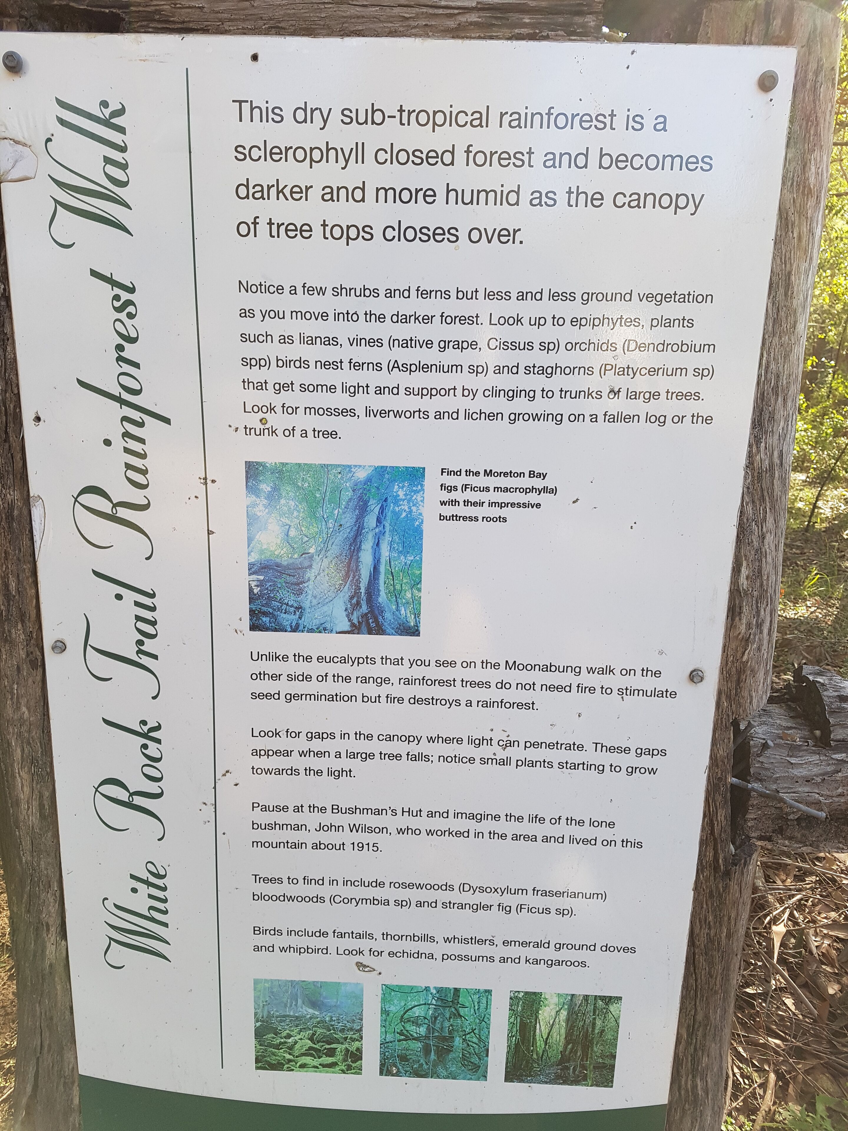 Bundera Lodge - Hunter Valley holiday accommodation — image 16