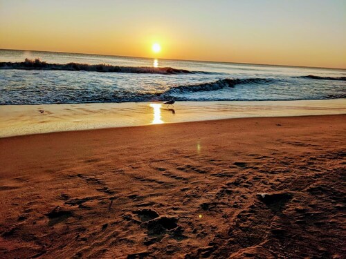 Lovely 2BR 2BA Condo w / Pool lähellä Beach & Shopping