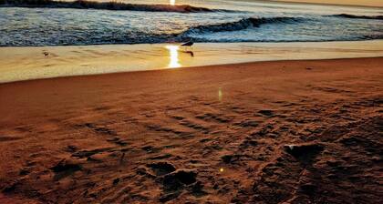 Spacious Condo with Pool Near Beach- New Floors and Furniture!