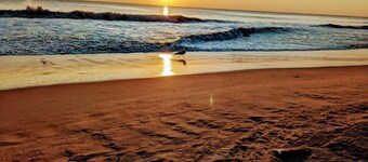 素敵な2BR 2BAコンド/ビーチ&ショッピングに近いプール付