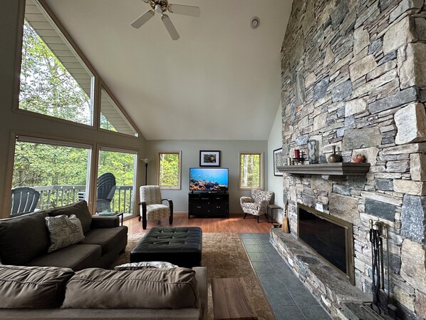 Smart TV, fireplace, books, stereo