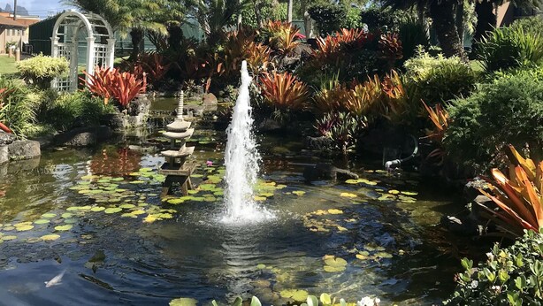 Un jardín tranquilo con una fuente central, rodeado de palmeras y vegetación exuberante.