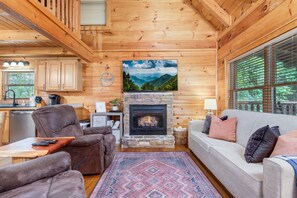 Smart-tv, pejs, videospil, dvd-afspiller