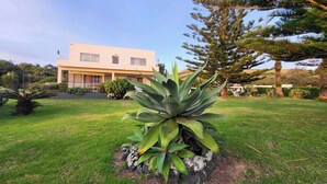 Une maison moderne à deux étages, dotée d’une pelouse bien entretenue et d’un grand agave planté au premier plan.