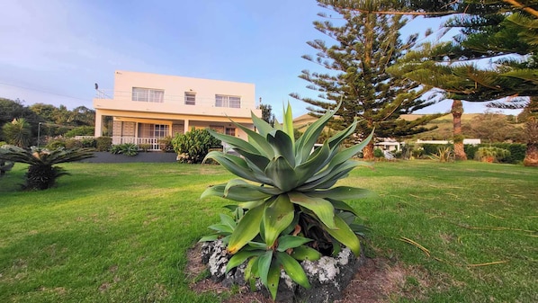 Une maison moderne à deux étages, dotée d’une pelouse bien entretenue et d’un grand agave planté au premier plan.