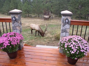 Property grounds - Breath Taking  Mountain Views #3039 (Estes Park)
