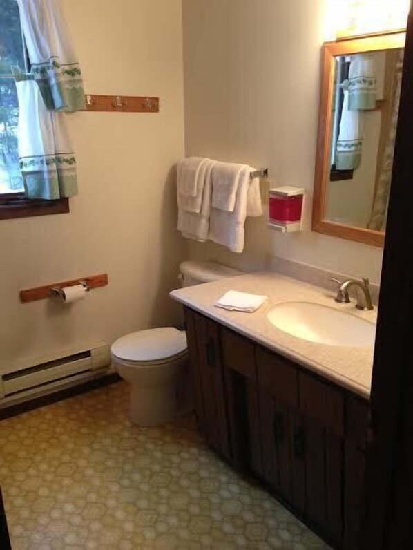 A bathroom with a toilet, sink, and mirror. - Cozy, comfy, rustic ski chalet at the foot of Ski Brule ski mountain (Iron River)